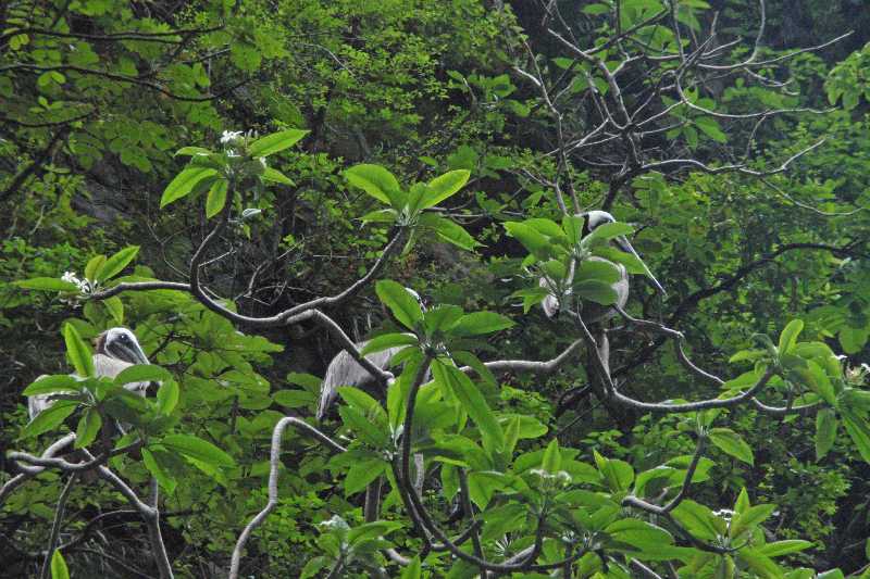 Mexico & Guatemala 2010 - 0376